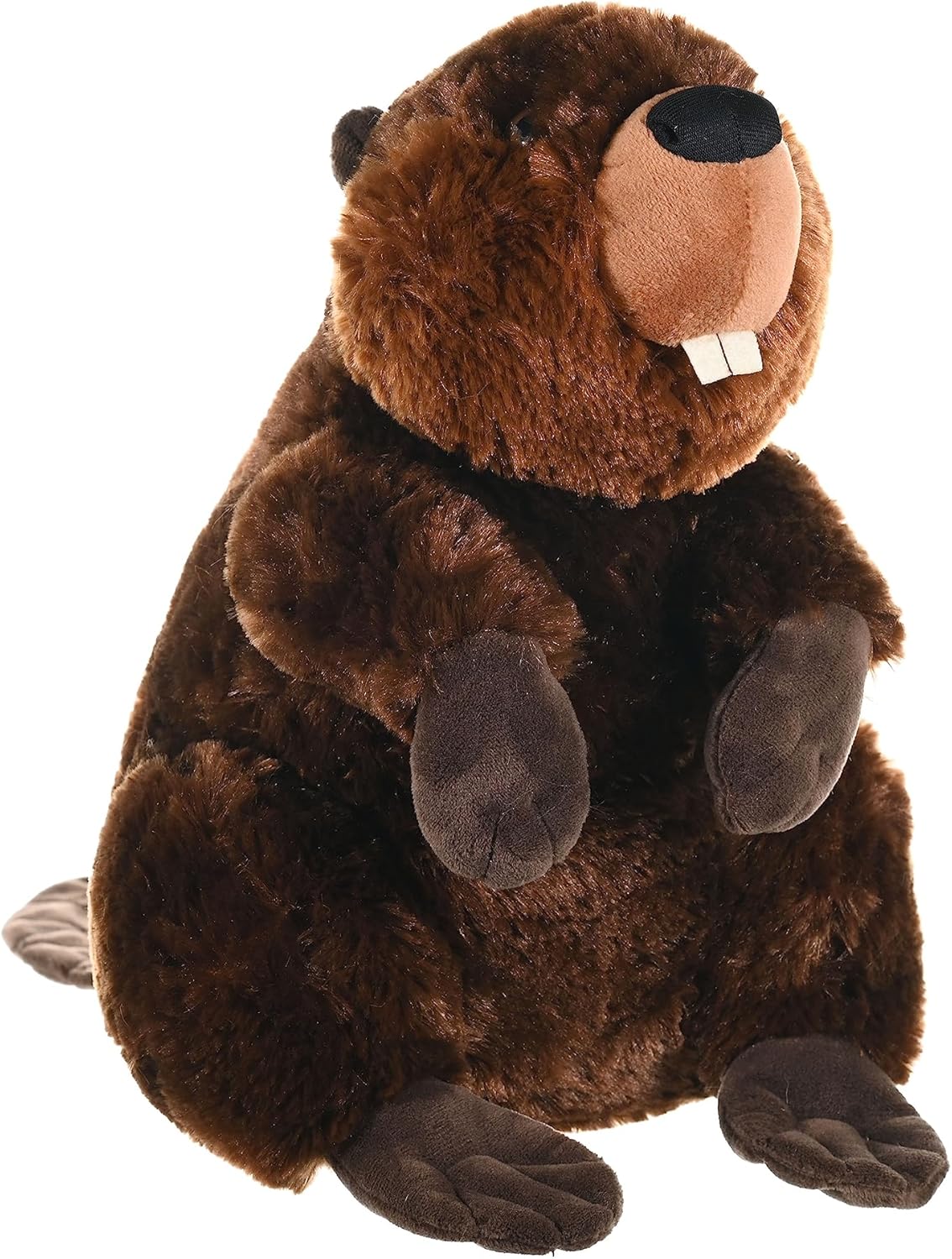 Beaver Plush 12 Inches - Stuffed Animal Kids Gifts (image for) Beaver Plush 12 Inches - Stuffed Animal Kids Gifts